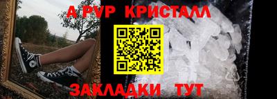 скорость Кингисепп