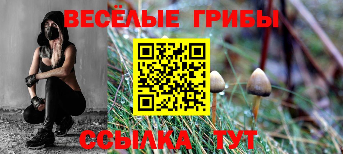 Псилоцибиновые грибы Magic Shrooms  Вход с VPN  Корсаков  Псилоцибиновые грибы мицелий 
